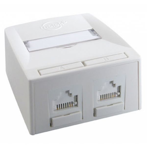 Розетка мережева RJ45 x2 UTP 5e Molex (SSY-00010-02)