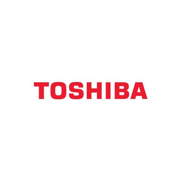 Тонер-картридж Toshiba T-FC25EY 26.8K YELLOW (6AJ00000202)