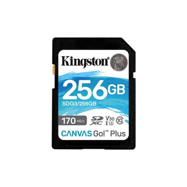 Карта пам'яті Kingston 256GB SDXC class 10 UHS-I U3 Canvas Go Plus (SDG3/256GB)